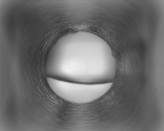 X0000055971393200508190651
