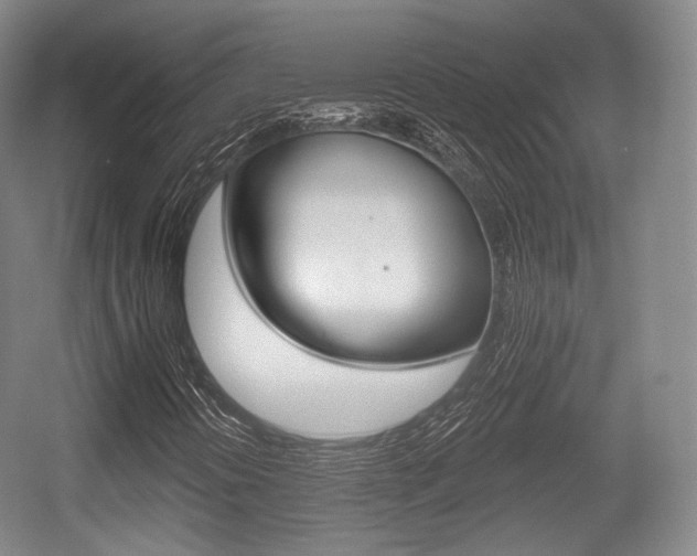 X0000055971394200508190651