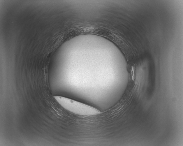 X0000055971395200508190651