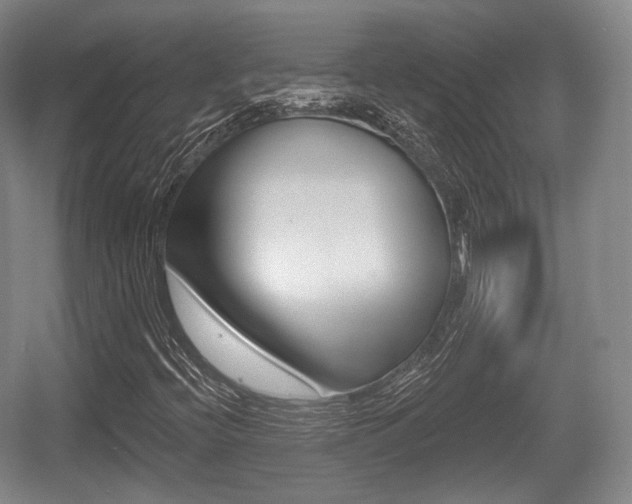 X0000055971396200508190651