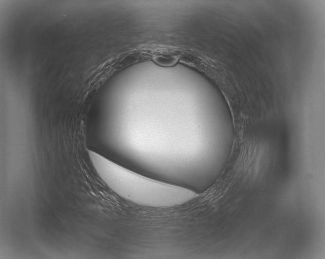 X0000055971397200508190651