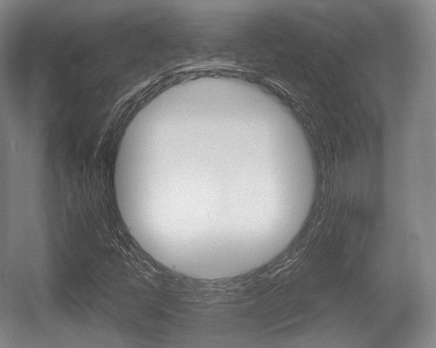 X0000055971398200508190651