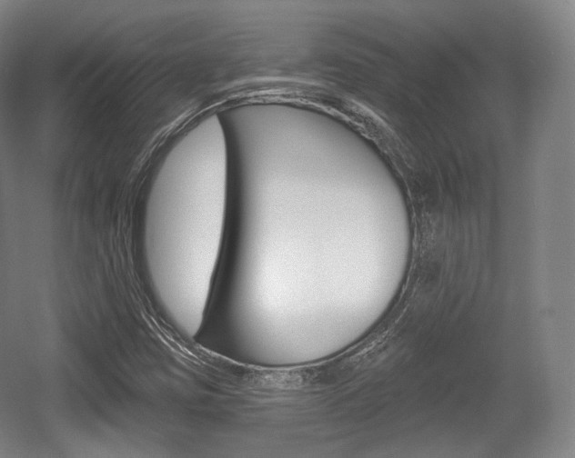 X0000055971403200508190651