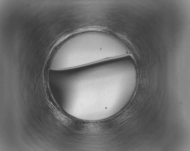 X0000055971404200508190651