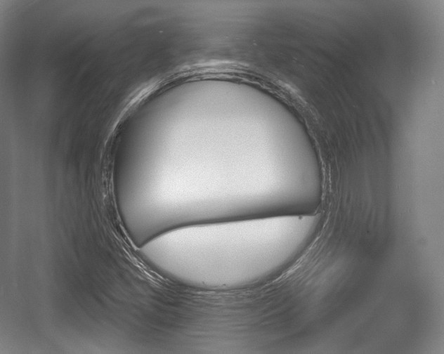 X0000055971405200508190651