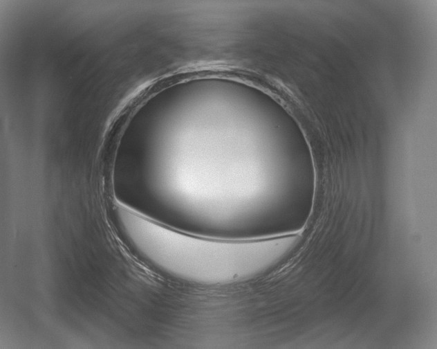 X0000055971406200508190651