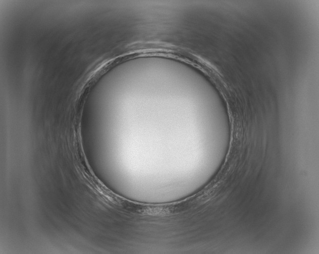 X0000055971407200508190651