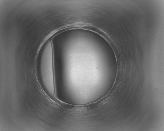 X0000055971410200508190651