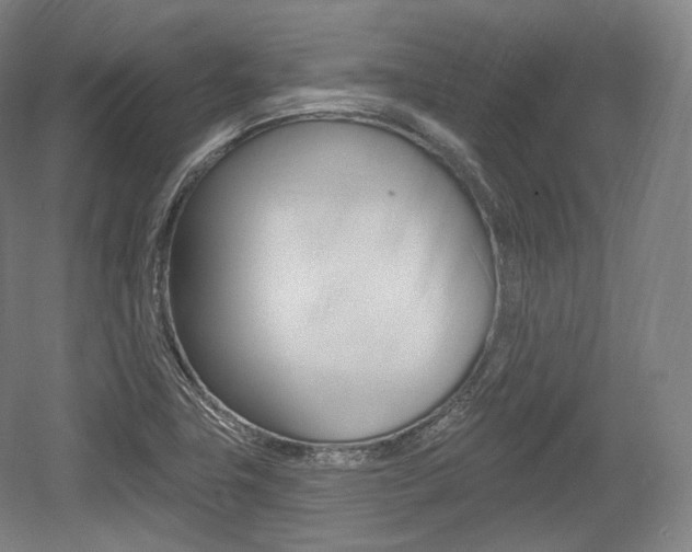 X0000055971411200508190651