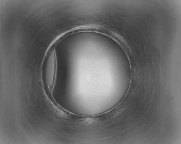 X0000055971412200508190651