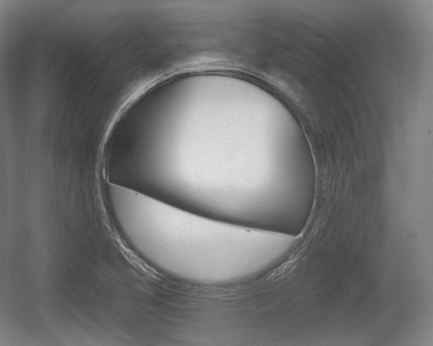 X0000055971413200508190651