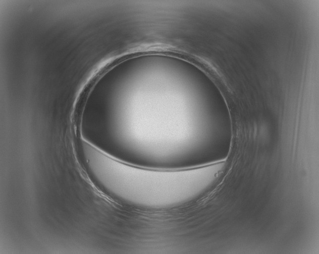 X0000055971414200508190651