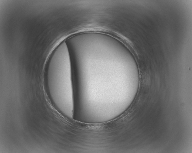X0000055971415200508190651