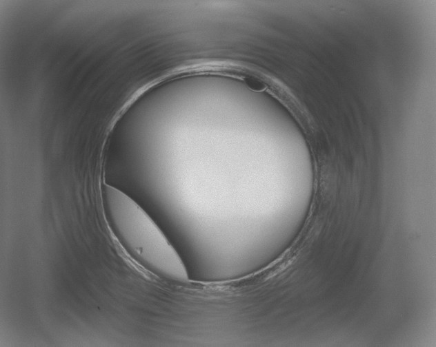 X0000055971417200508190651