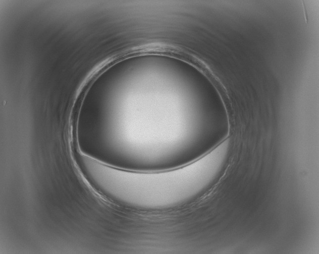 X0000055971418200508190651
