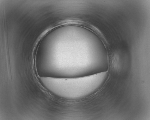 X0000055971419200508190651