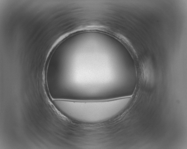 X0000055971420200508190651