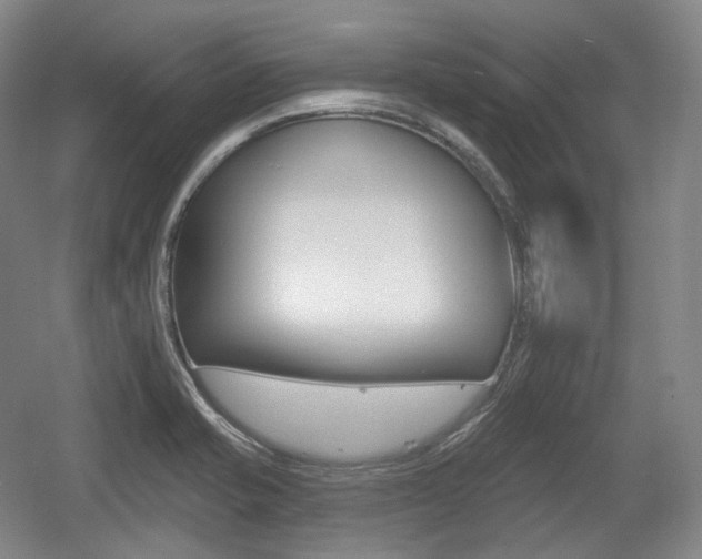 X0000055971421200508190651