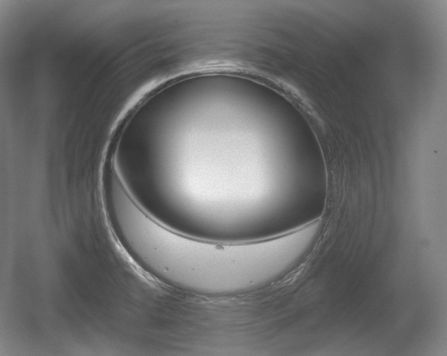 X0000055971422200508190651