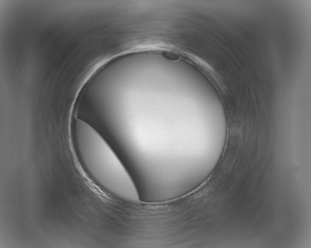 X0000055971423200508190651