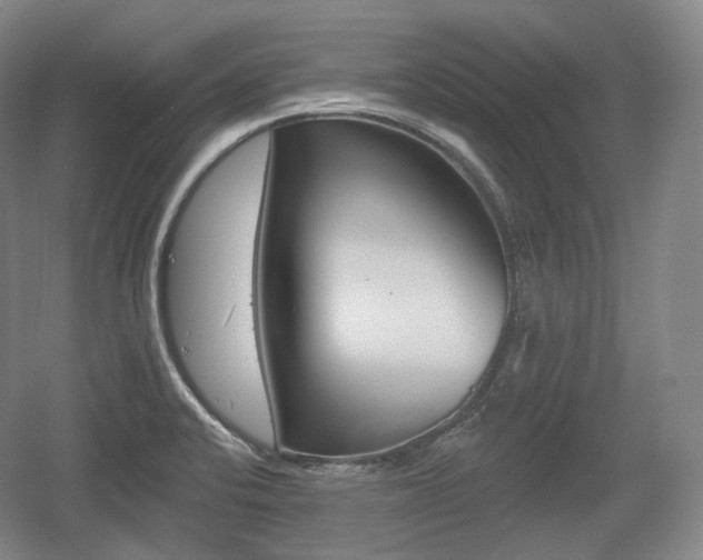 X0000055971424200508190651