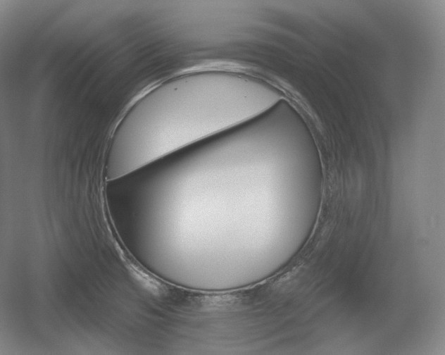X0000055971425200508190651