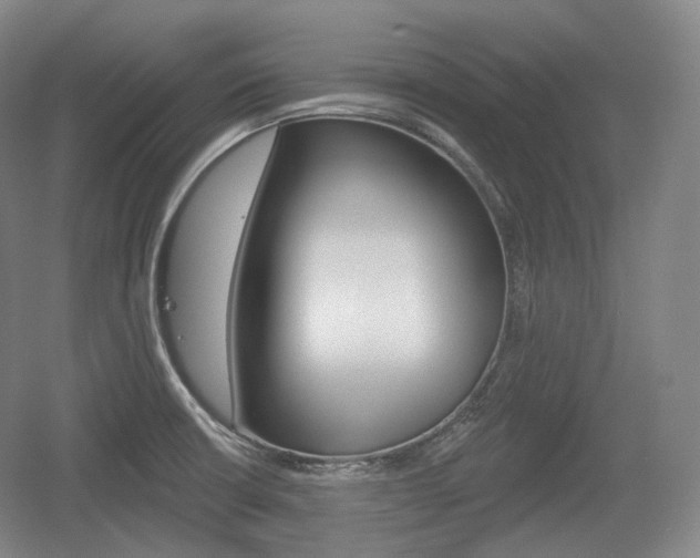 X0000055971426200508190651