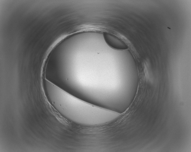 X0000055971427200508190651