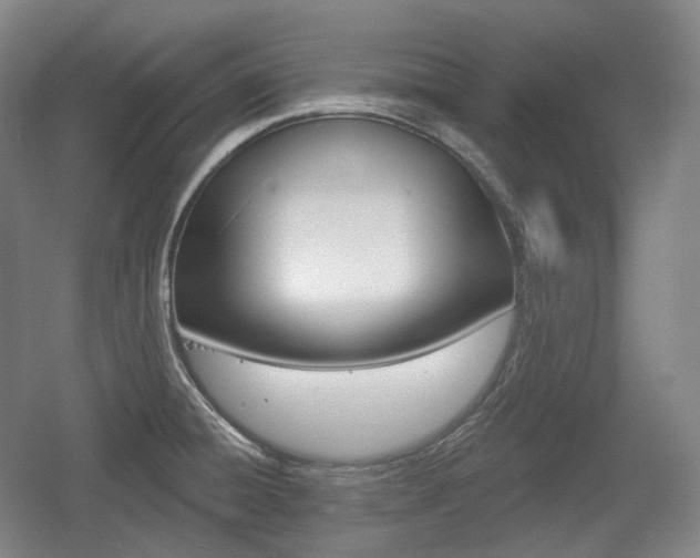 X0000055971428200508190651