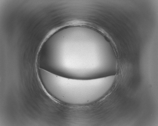 X0000055971429200508190651