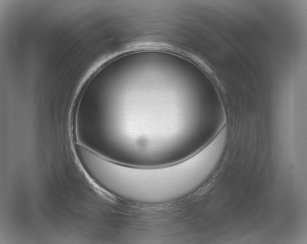 X0000055971430200508190651