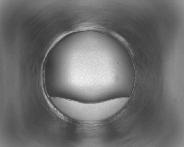 X0000055971431200508190652