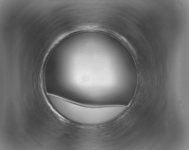 X0000055971432200508190652