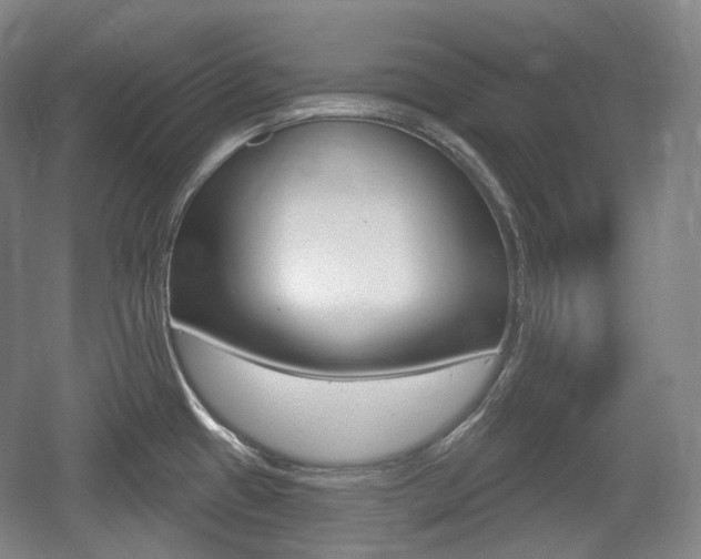 X0000055971433200508190652