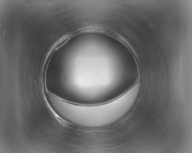 X0000055971434200508190652