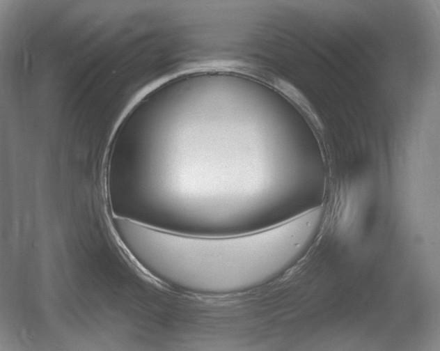 X0000055971436200508190652