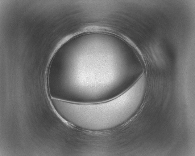 X0000055971437200508190652