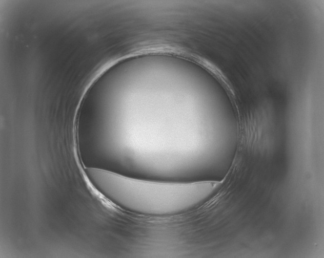 X0000055971439200508190652