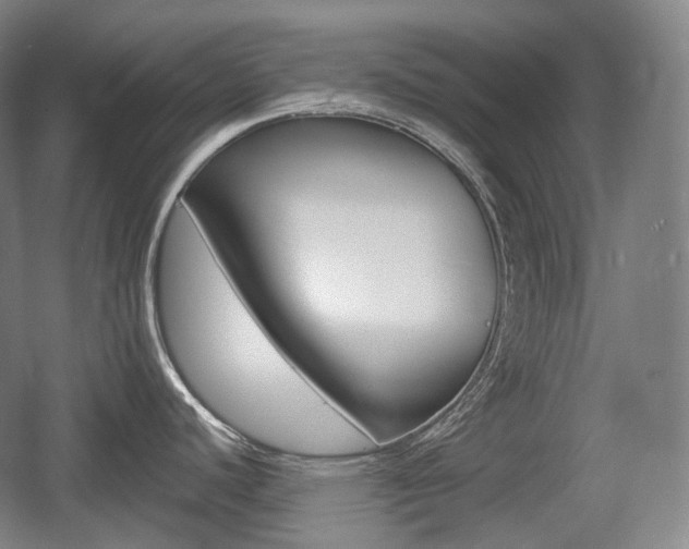 X0000055971440200508190652