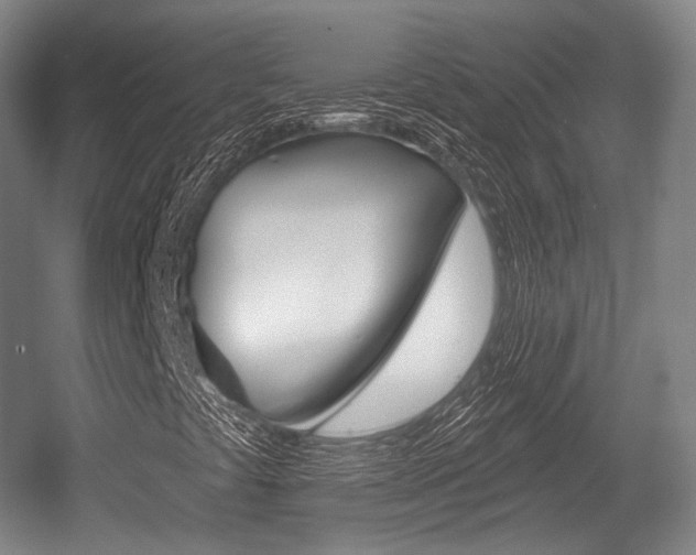 X0000055971441200508190651