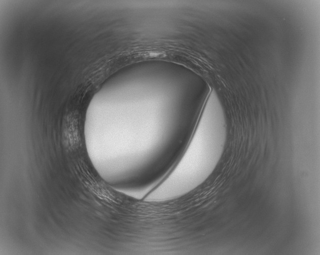 X0000055971442200508190651