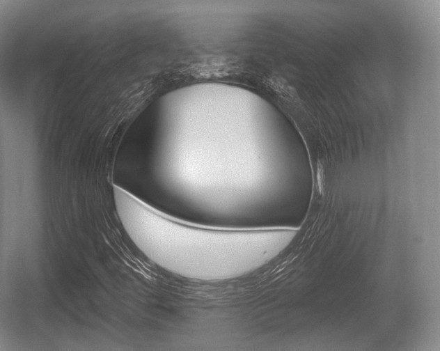 X0000055971444200508190651