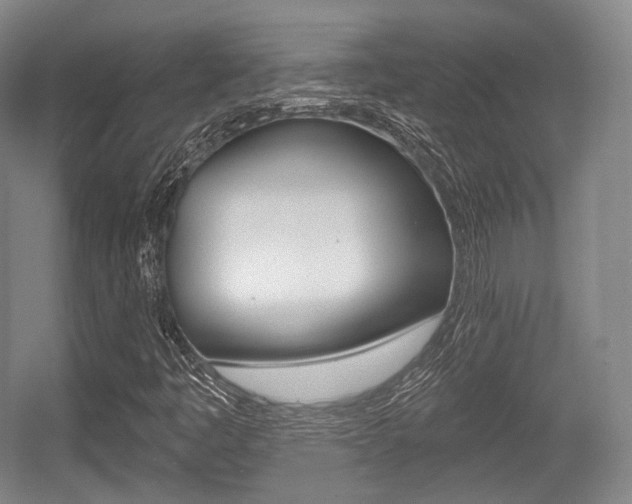 X0000055971445200508190651