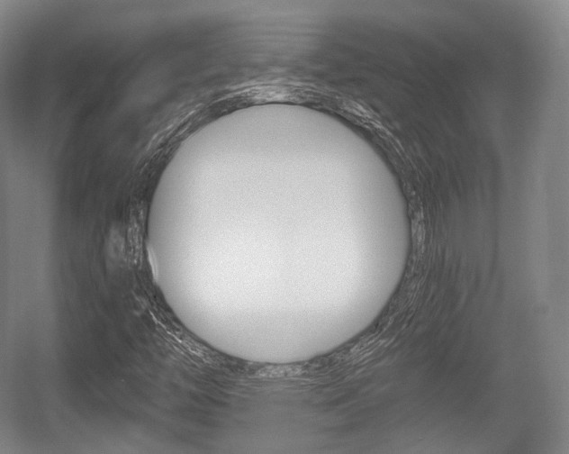 X0000055971446200508190651