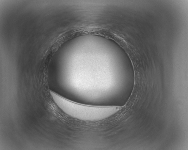 X0000055971447200508190651