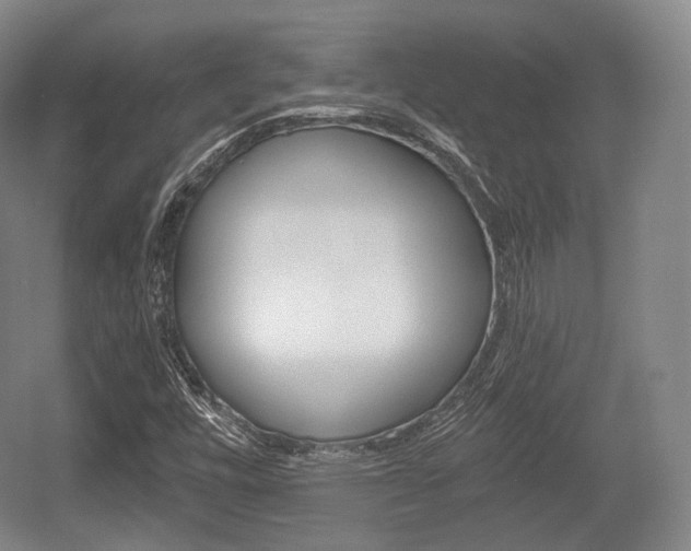 X0000055971448200508190651