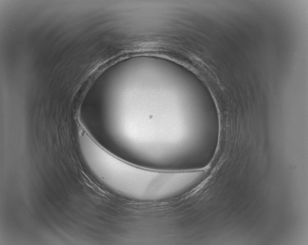 X0000055971449200508190651