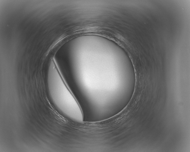 X0000055971450200508190651