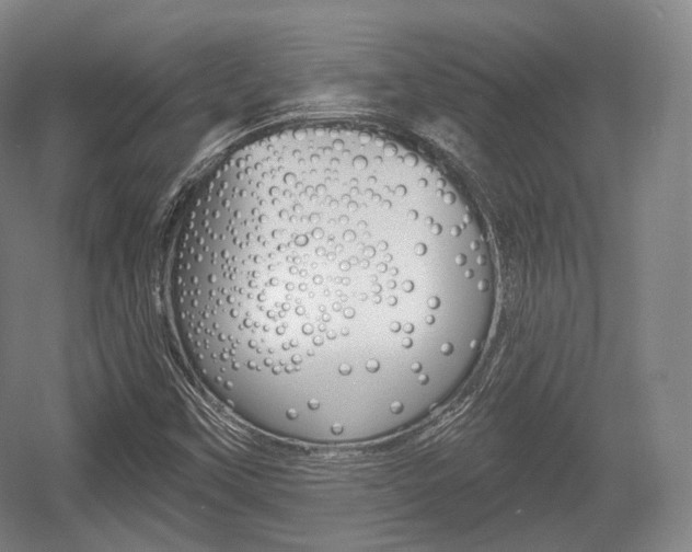 X0000055971451200508190651