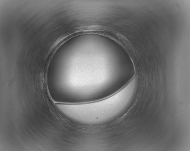 X0000055971457200508190651